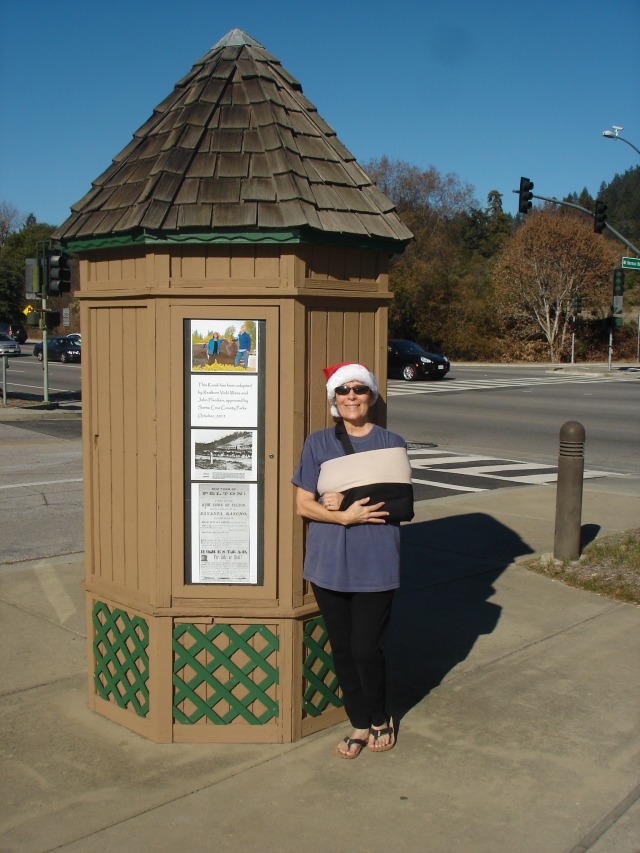 Vicki Wees at newly restored kiosk at Felton Covered Bridge Park, Dec. 22, 2013